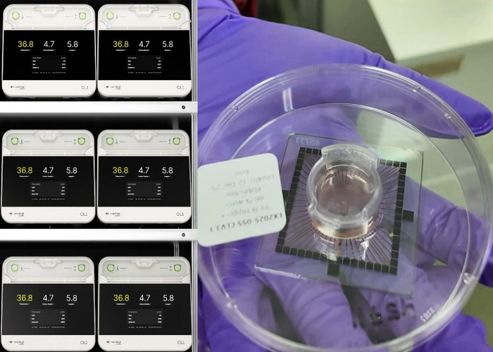 В Австралії запустили перший в світі хмарний сервіс на базі біологічного комп’ютера