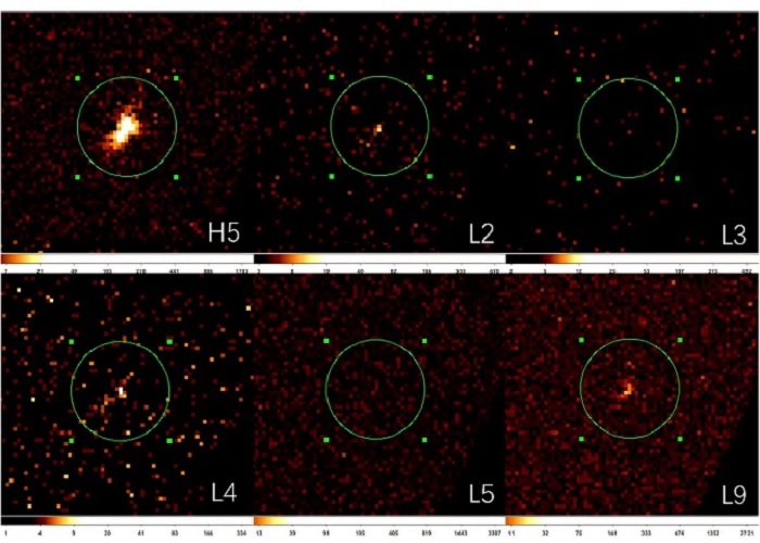 Вчені вияснили, як чорні діри «їдять» матерію
